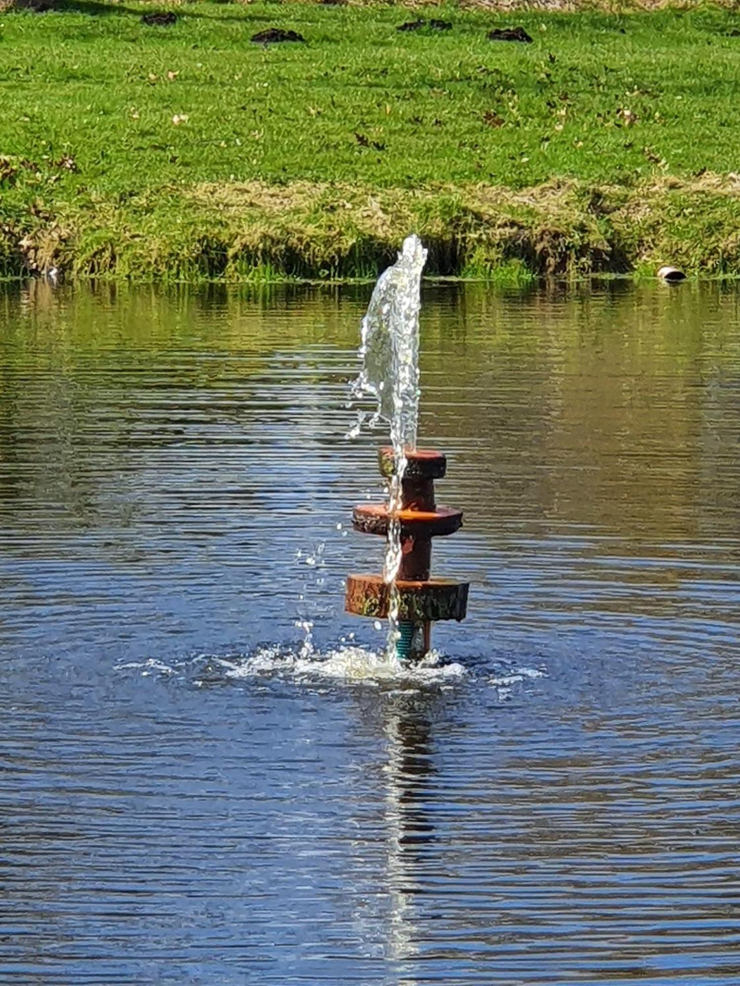 Idyllisches-Blockbohlenhaus-Mit-Eigenem-Garten-Und-Sauna-Zum-Wohlfuehlen Martensrade Exteriér fotografie