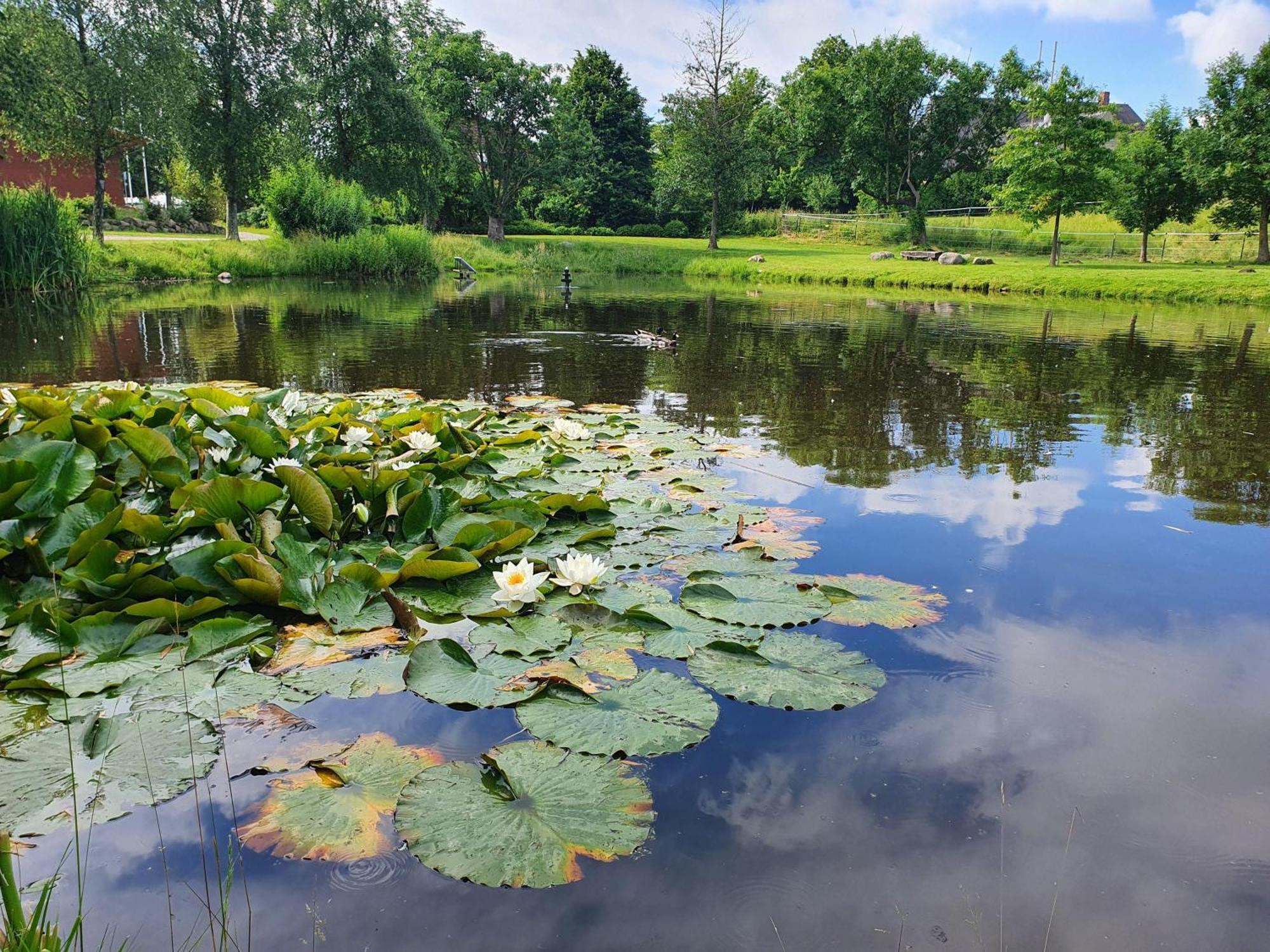 Idyllisches-Blockbohlenhaus-Mit-Eigenem-Garten-Und-Sauna-Zum-Wohlfuehlen Martensrade Exteriér fotografie
